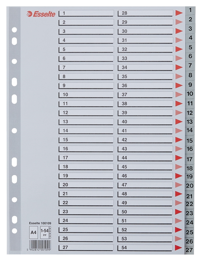 Esselte Registro PP A4 1-54 gris