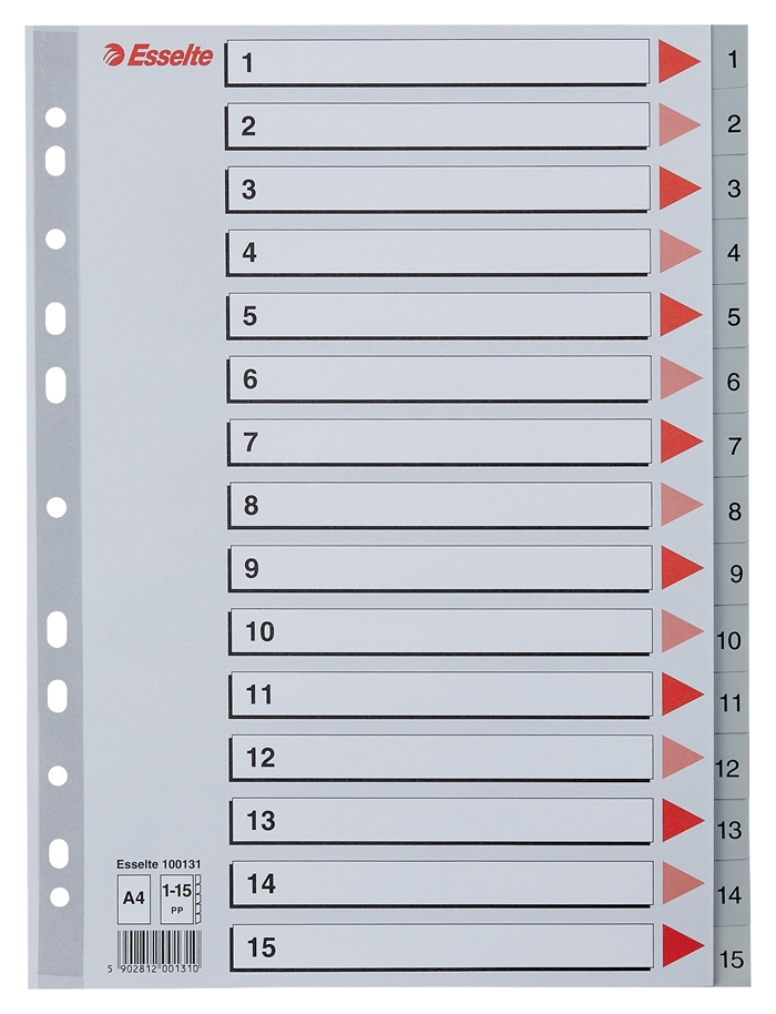 Esselte Registro PP A4 1-15 gris