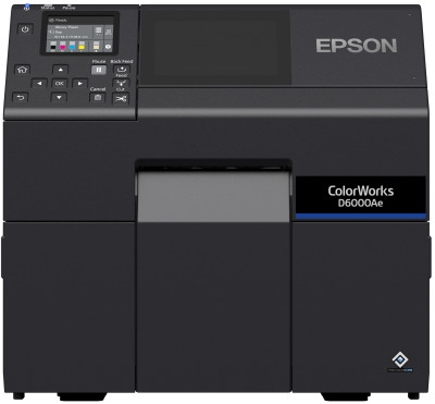 Epson D6000